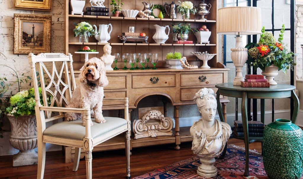 A dog sits on a chair surrounded by antiques