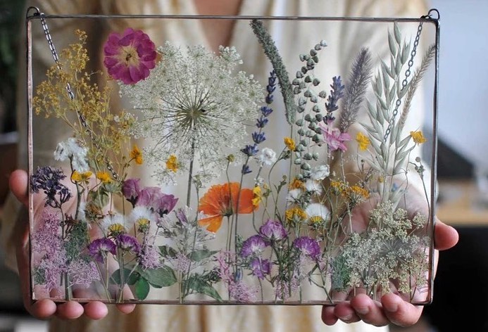 pressed flowers in a frame