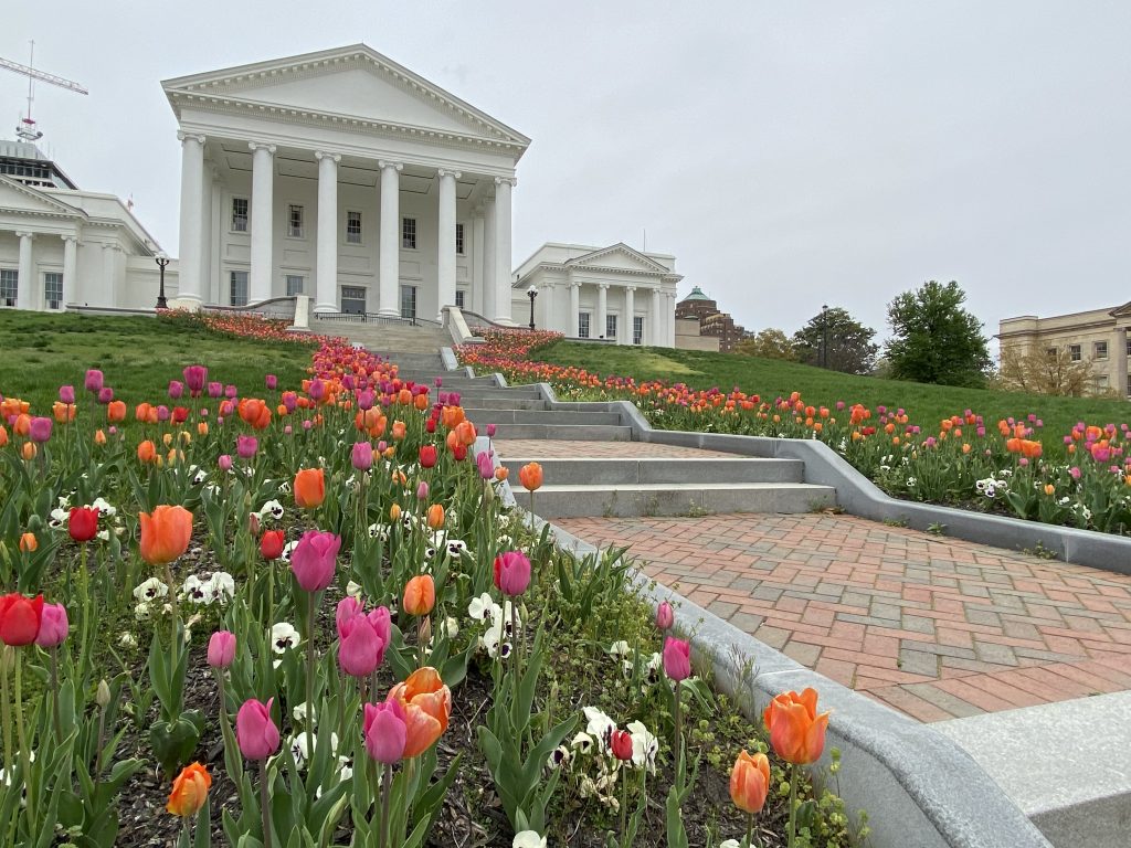 The Virginia Capitol with tullips