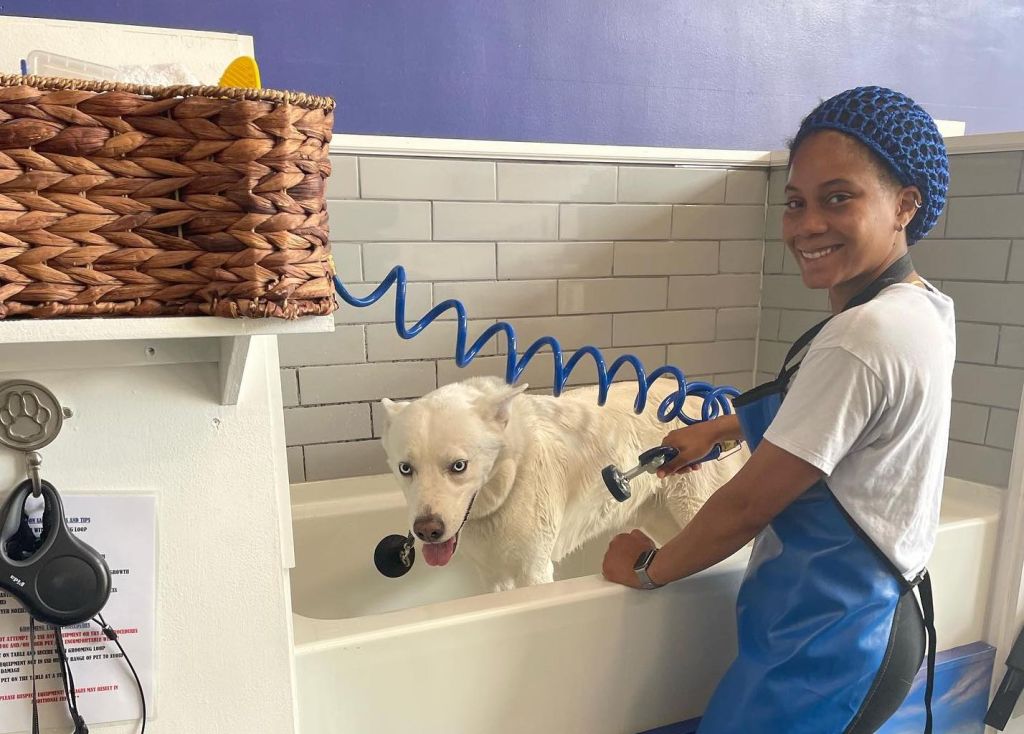a dog is bathed at a grooming shop